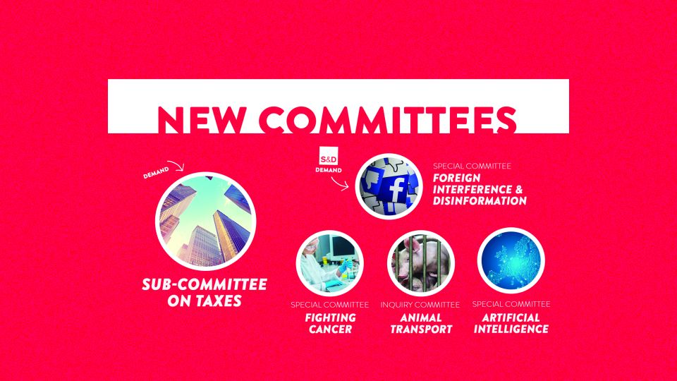 New committees