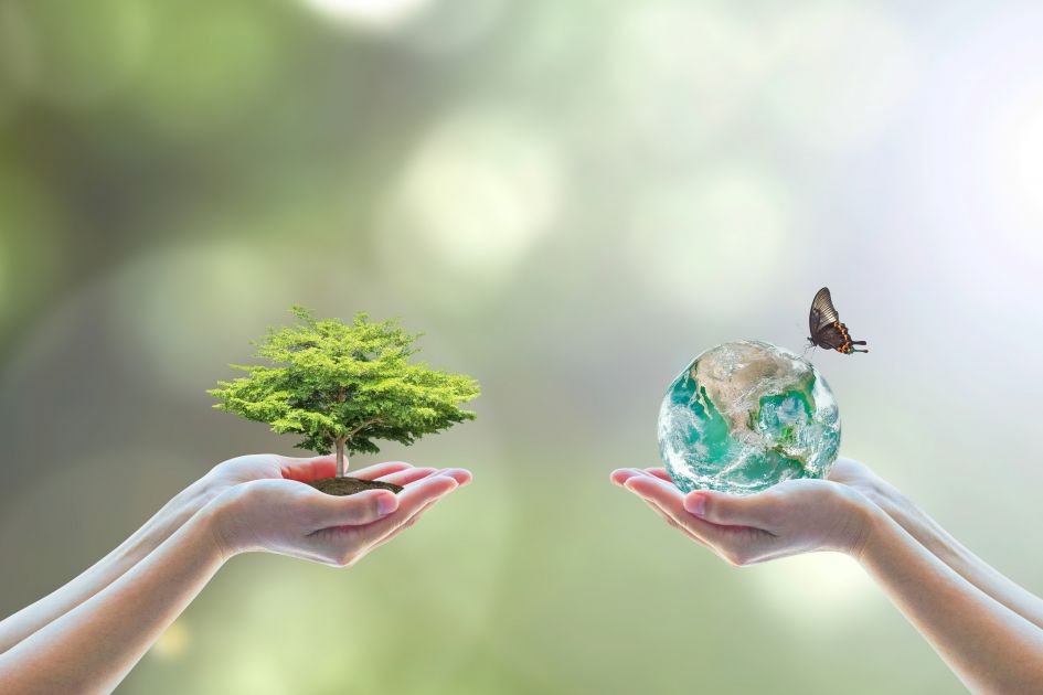 S&Ds: We welcome the EU Commission’s strategy on biodiversity. We need