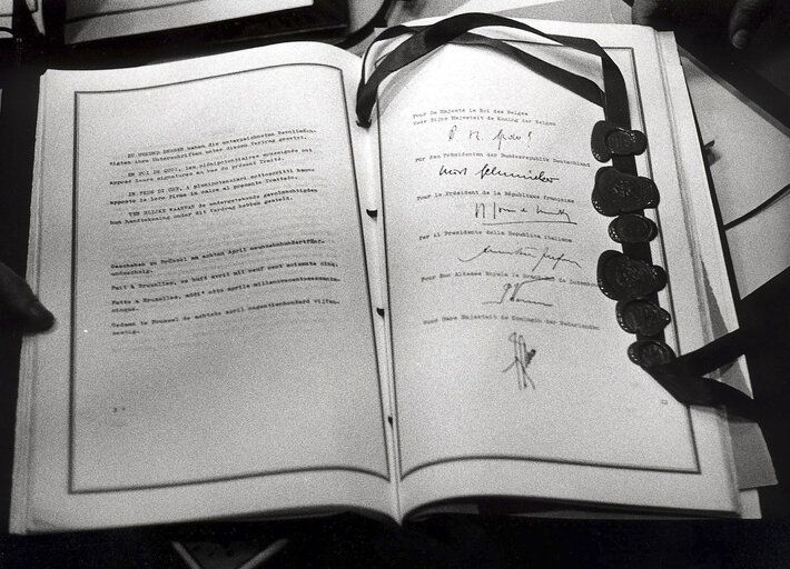 Merger Treaty 1965 History